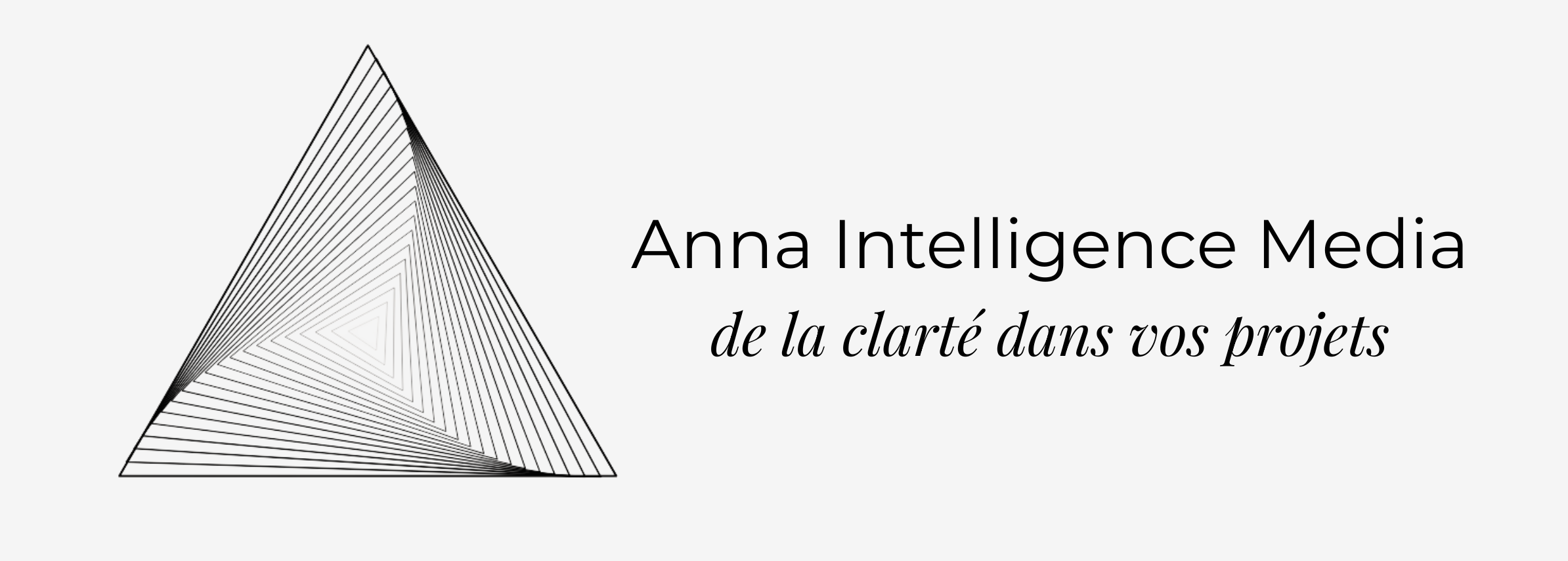 Anna Intelligence Media